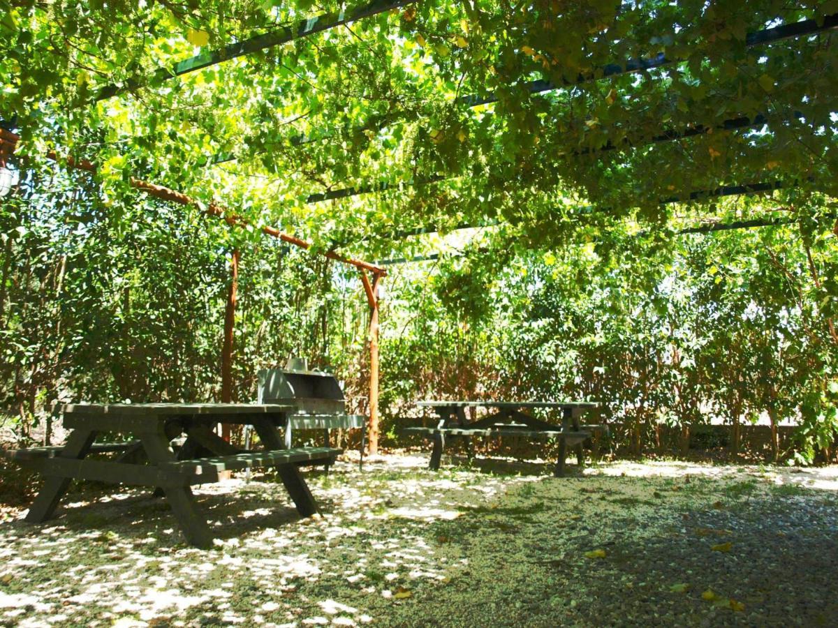 The White Rabbit Guesthouse Eco-Lodge "Cosy Apartment" 사코우디아 외부 사진