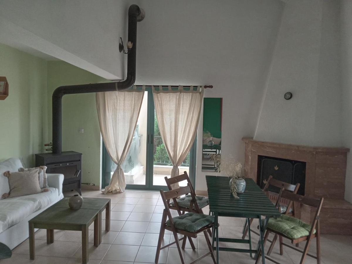 The White Rabbit Guesthouse Eco-Lodge "Cosy Apartment" 사코우디아 외부 사진