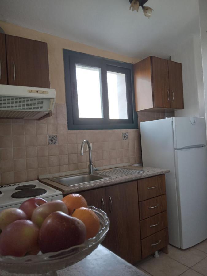 The White Rabbit Guesthouse Eco-Lodge "Cosy Apartment" 사코우디아 외부 사진