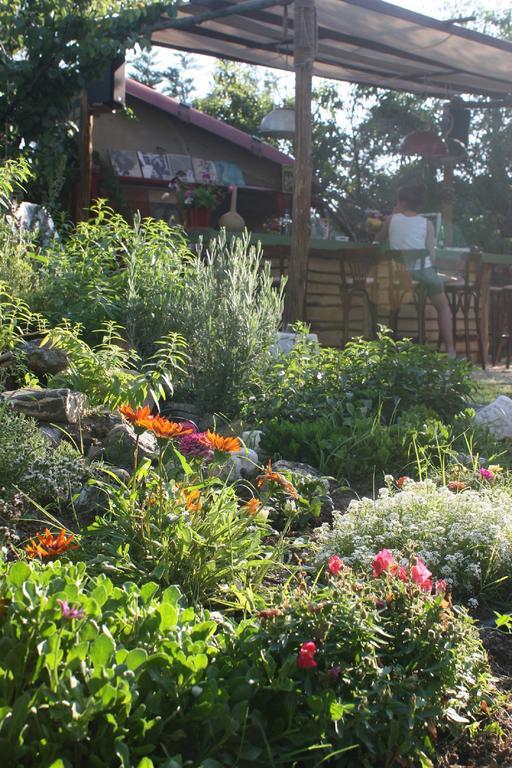 The White Rabbit Guesthouse Eco-Lodge "Cosy Apartment" 사코우디아 외부 사진